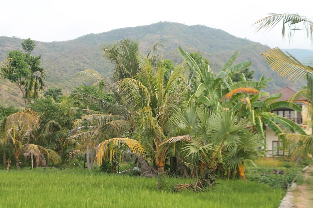 Taman Padi Villa Amed Exteriér fotografie