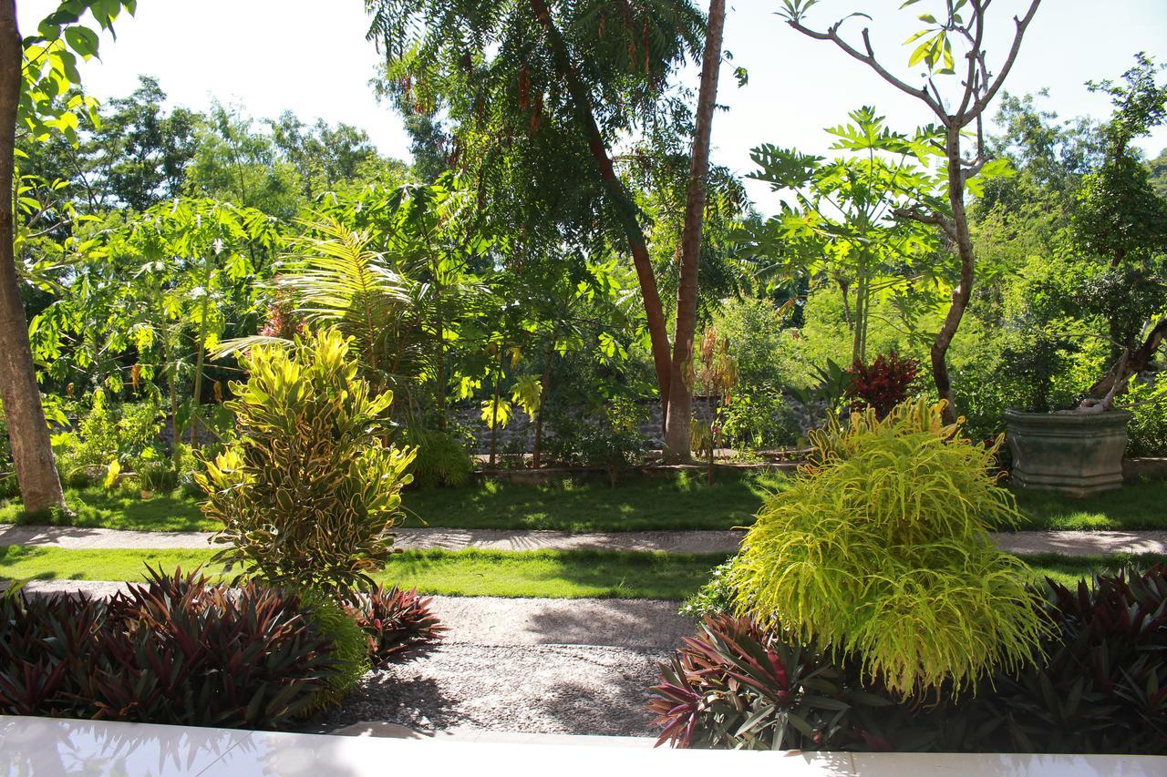Taman Padi Villa Amed Exteriér fotografie